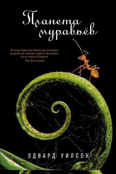 Планета муравьёв
