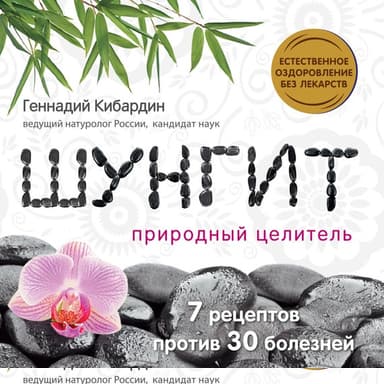 Шунгит: Природный целитель