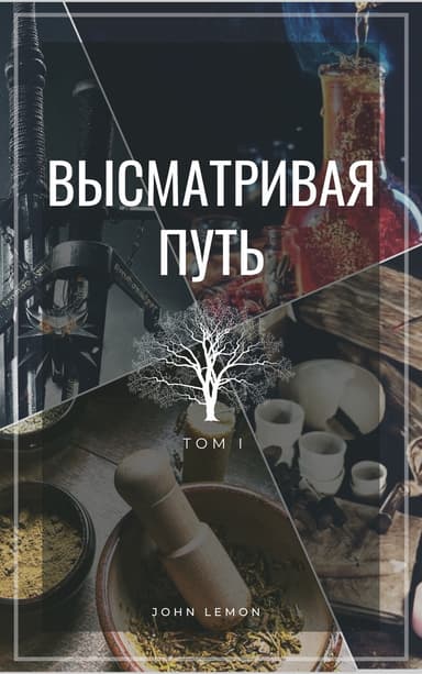 Высматривая путь. Том I (СИ)