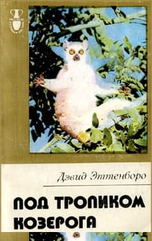 Под тропиком Козерога