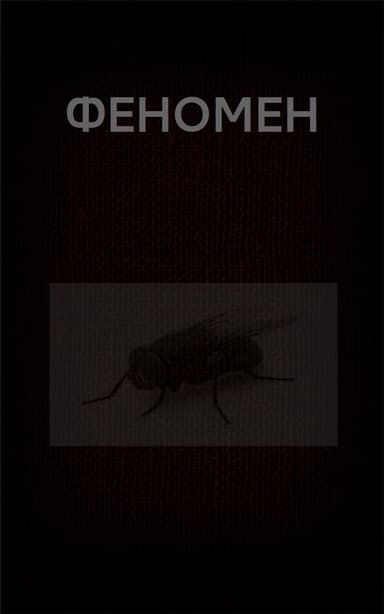 ФЕНОМЕН