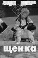 Воспитание щенка